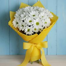 Букет цветов из:  Хризантемы в Дедовичи