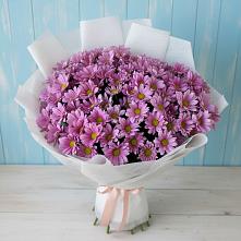 Букет цветов из:  Хризантемы в Дедовичи