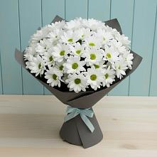 Букет цветов из:  Хризантемы в Дедовичи